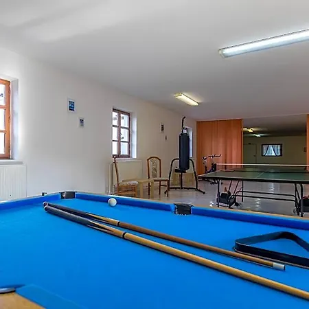 Penzion A Restaurace U Vladare Inn 3*