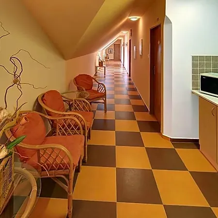 Penzion A Restaurace U Vladare 3*
