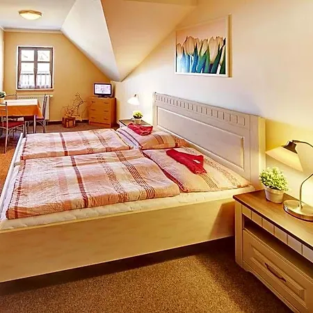 Inn Penzion A Restaurace U Vladare Touzim