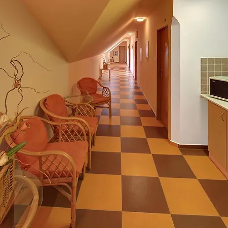 A Restaurace U Vladare イン Toužim
